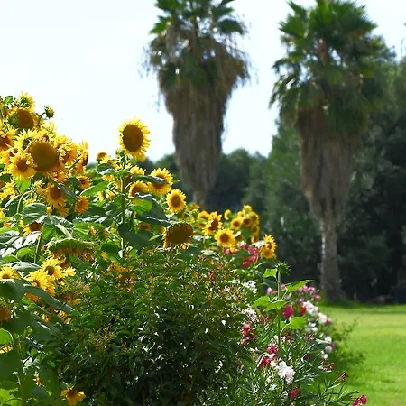 Hotel Sciabache Zambrone