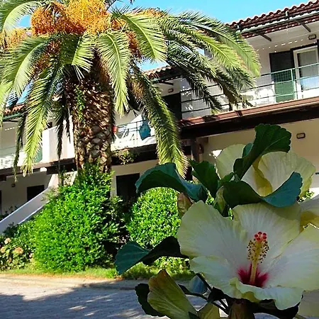 Hotel Sciabache 4*