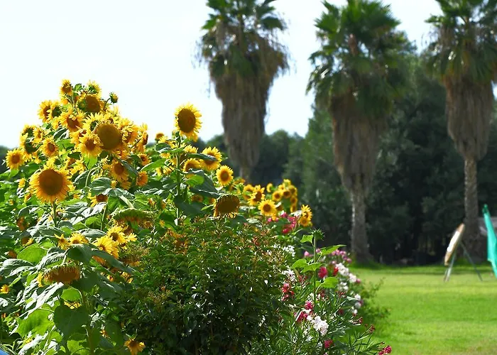 Hotell Sciabache Zambrone